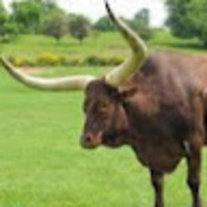 Meet your Posher, Jeffrey